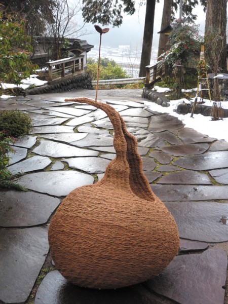 Miracle of Species injured