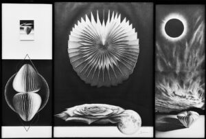 ISOZAKI Shikiko（磯崎 式子）