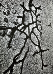 カタジナ ピエトルザク | Katarzyna PIETRZAK