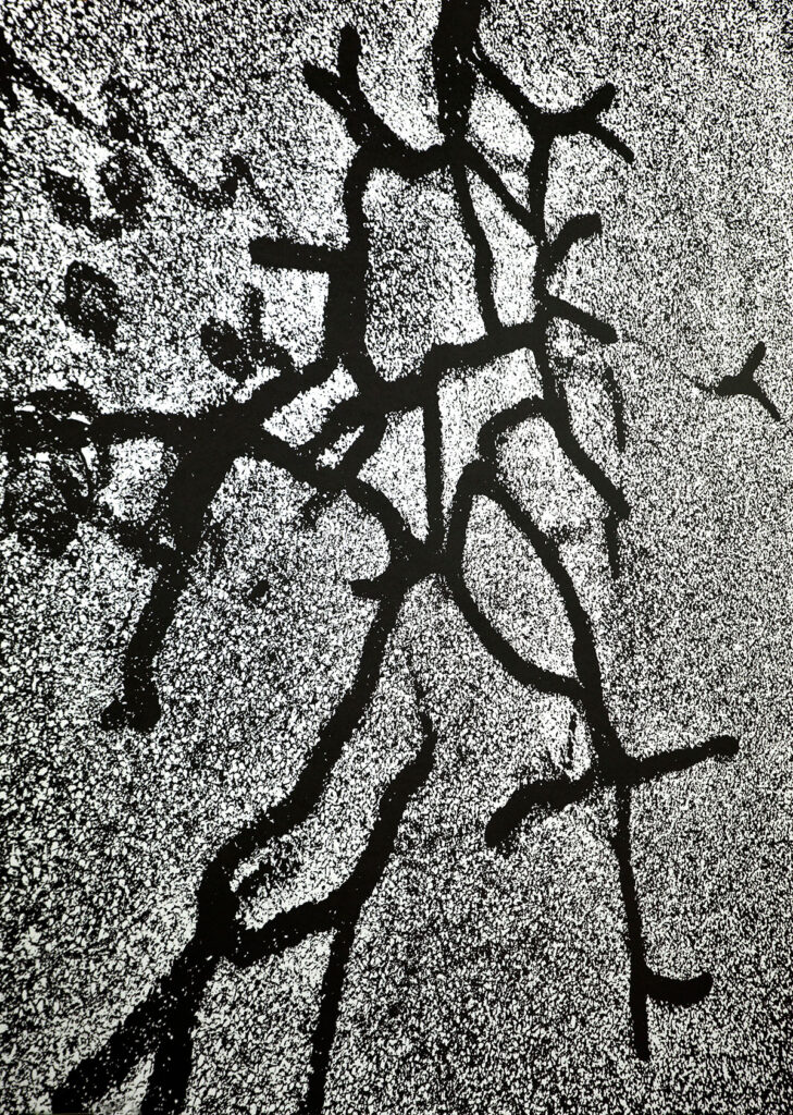 カタジナ ピエトルザク | Katarzyna PIETRZAK