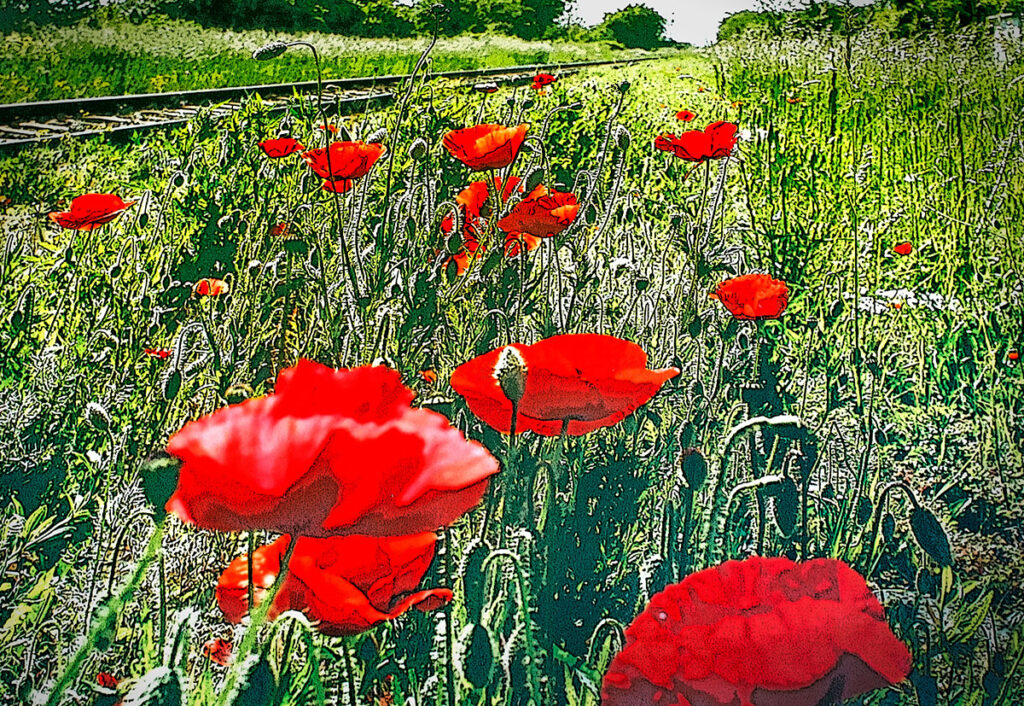 モニカ レーディック | Monika Ledig