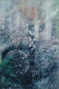 NAGANEO Sachiko（長根尾 幸子）