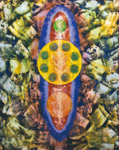 SHIMASAKI Toshiya（島崎 俊哉）