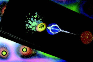 TAKEUCHI Yoshifumi（武内 良文）