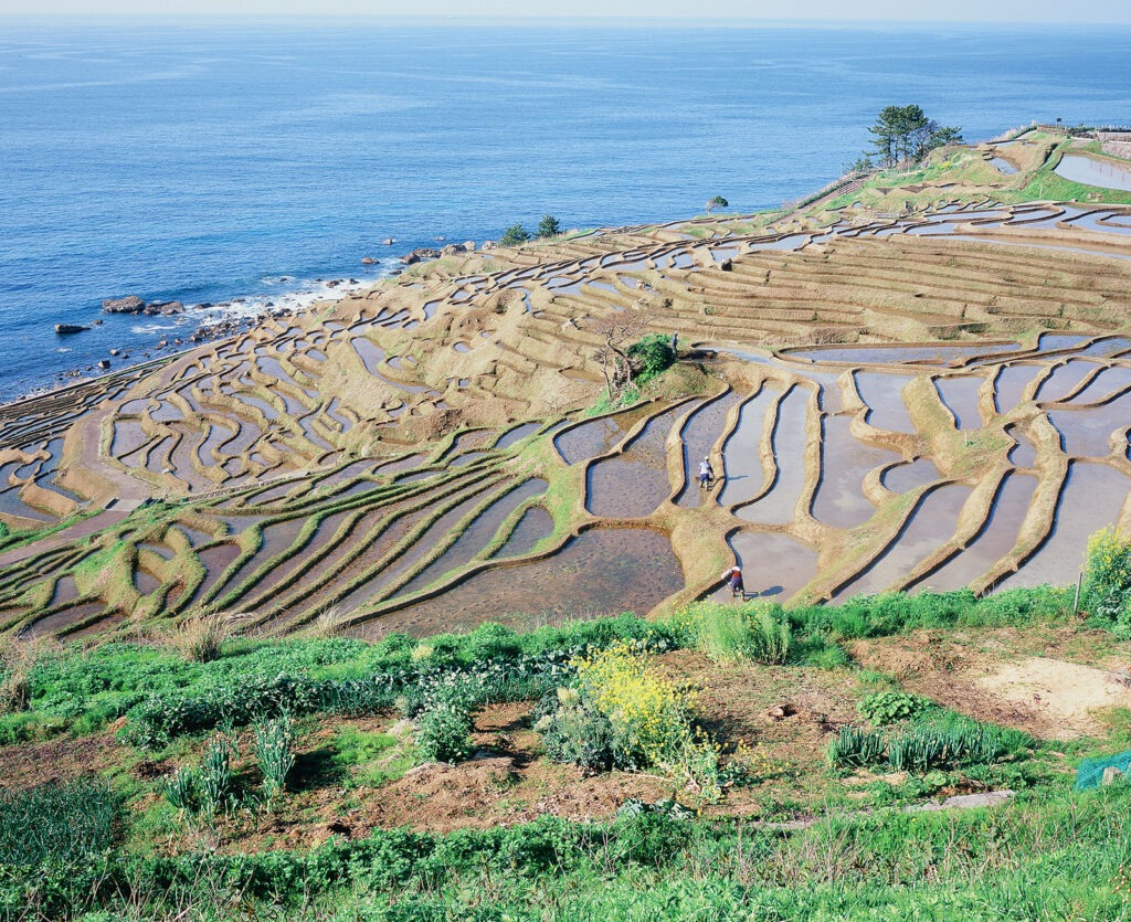 UCHIYAMA Hiromichi（内山 弘道）