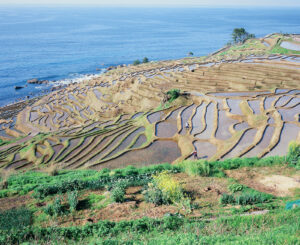 UCHIYAMA Hiromichi（内山 弘道）