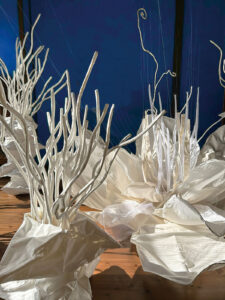 ASAHI Akiko（旭 晃子）